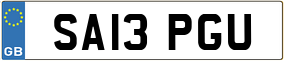 Trailer License Plate
